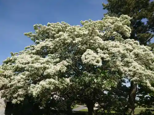 善国寺(愛知県)