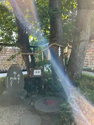 櫻木神社(千葉県)