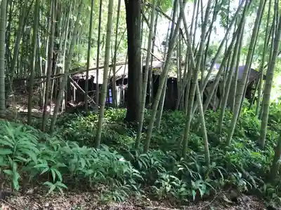 山神神社の周辺