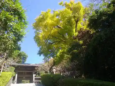 荏柄天神社のその他建物