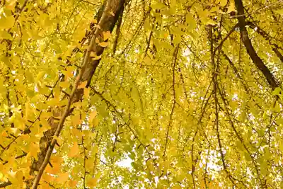 正法寺(滋賀県)