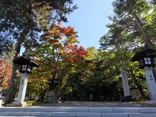 鷹栖神社の自然