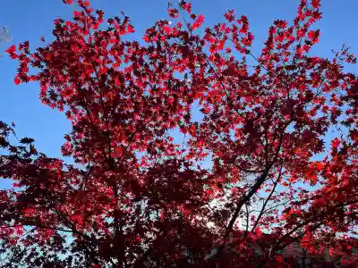 善水寺(滋賀県)