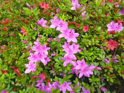 等覚院(神奈川県)