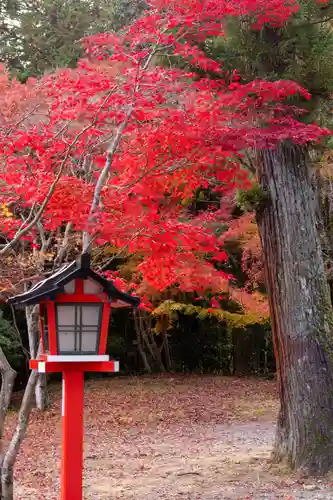 大原野神社(京都府)