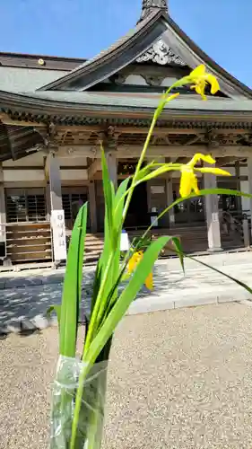 光明寺(神奈川県)