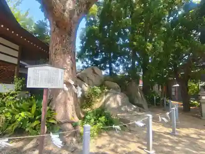 和貴宮神社(京都府)