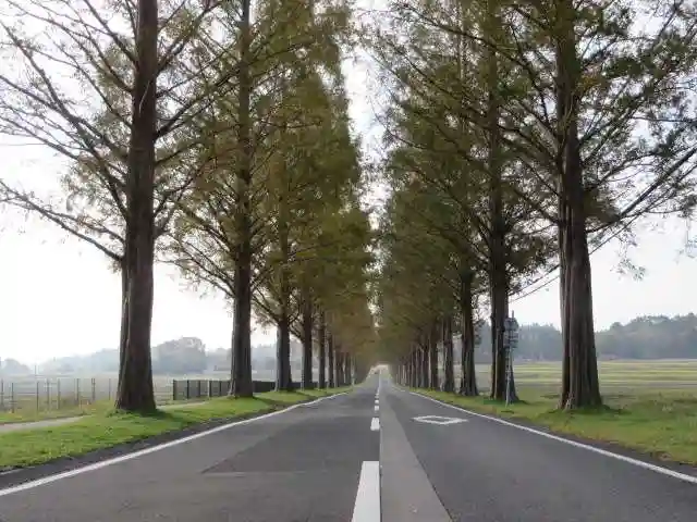 白鬚神社(滋賀県)