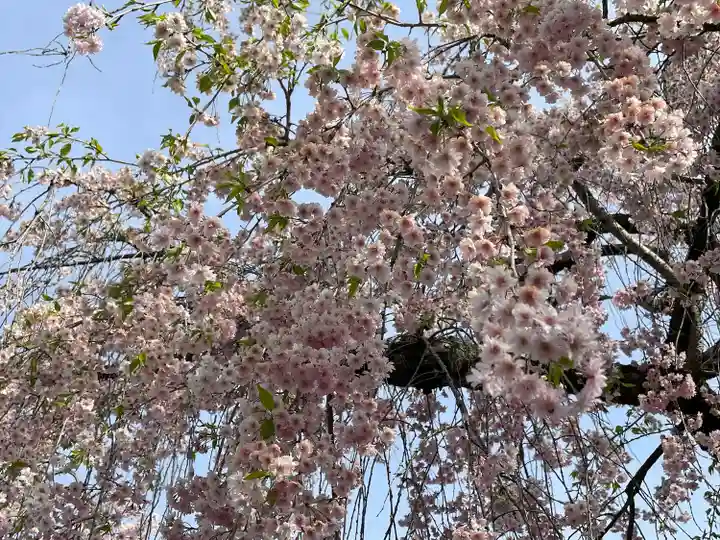 葛葉稲荷神社の自然