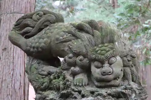 白山比咩神社の狛犬
