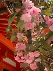 生田神社の自然