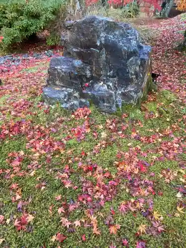 宝厳院(京都府)