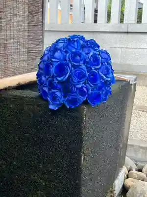 上尾御嶽神社の手水舎