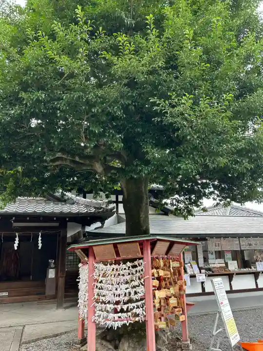 城山八幡宮(愛知県)