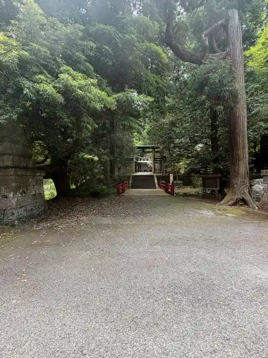 武蔵二宮 金鑚神社の{uncategorized: "未分類", other: "その他", undefined: "問題あり", building: "その他建物", grave: "お墓", sacred_gate: "鳥居", guardian: "狛犬", statue: "像", buddha: "仏像", history: "歴史", nature: "自然", garden: "庭園", animal: "動物", pagoda: "塔", temizu: "手水舎", mountain_gate: "山門・神門", sanctuary: "本殿・本堂", subordinate: "末社・摂社", art: "芸術", scenery: "景色", jizo: "地蔵", ema: "絵馬", goshuin: "御朱印", omikuji: "おみくじ", items: "授与品その他", amulet: "お守り", goshuincho: "御朱印帳", eats: "食事", festival: "お祭り", votive_dance: "神楽", shichigosan: "七五三参", wedding: "結婚式", experience: "体験その他", initially: "初詣", around: "周辺", anti_infection: "感染症対策"}