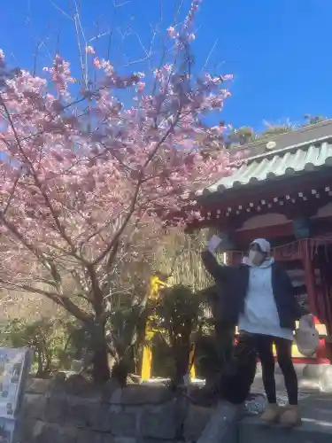 洲崎神社(千葉県)