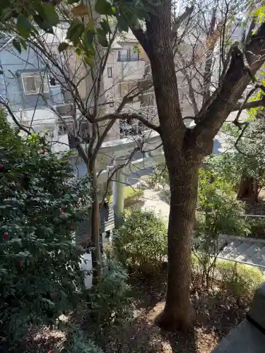 長津田王子神社の{uncategorized: "未分類", other: "その他", undefined: "問題あり", building: "その他建物", grave: "お墓", sacred_gate: "鳥居", guardian: "狛犬", statue: "像", buddha: "仏像", history: "歴史", nature: "自然", garden: "庭園", animal: "動物", pagoda: "塔", temizu: "手水舎", mountain_gate: "山門・神門", sanctuary: "本殿・本堂", subordinate: "末社・摂社", art: "芸術", scenery: "景色", jizo: "地蔵", ema: "絵馬", goshuin: "御朱印", omikuji: "おみくじ", items: "授与品その他", amulet: "お守り", goshuincho: "御朱印帳", eats: "食事", festival: "お祭り", votive_dance: "神楽", shichigosan: "七五三参", wedding: "結婚式", experience: "体験その他", initially: "初詣", around: "周辺", anti_infection: "感染症対策"}