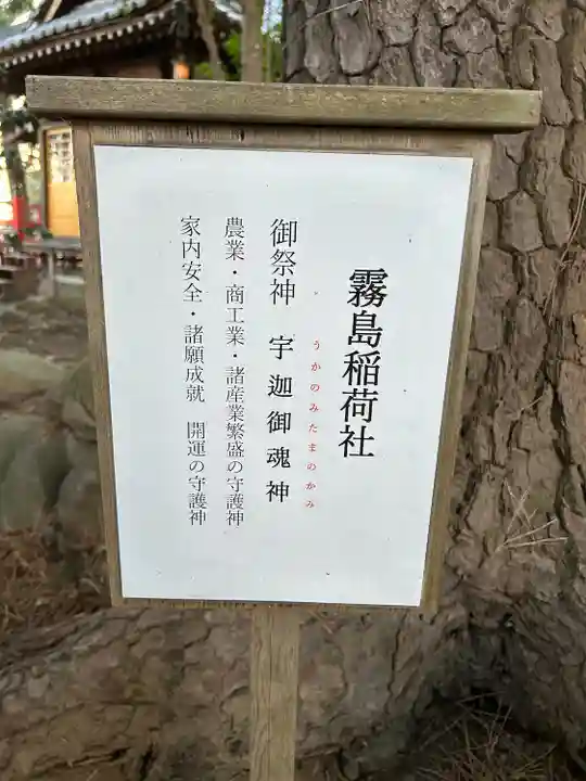 開運招福 飯玉神社(群馬県)