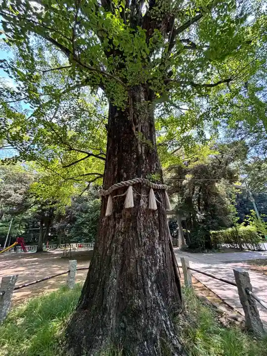 赤坂氷川神社(東京都)