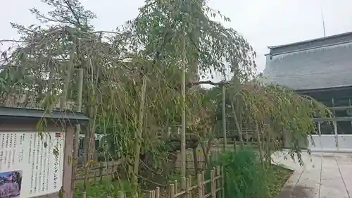 西光寺(青森県)