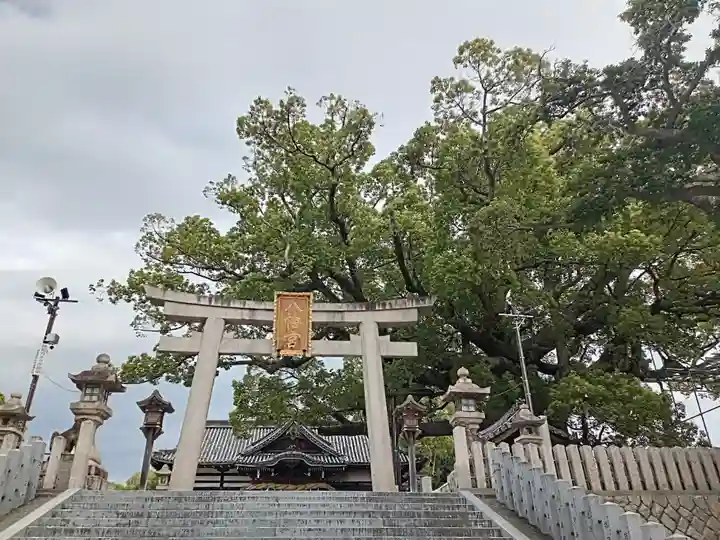 百舌鳥八幡宮(大阪府)