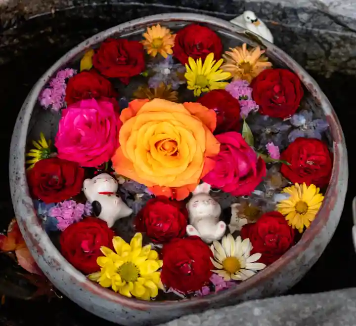 三輪神社(愛知県)