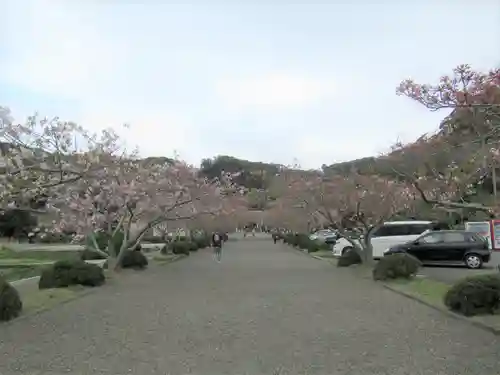 安房神社(千葉県)