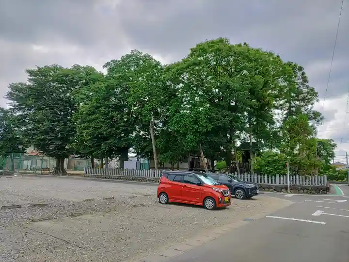 高須社(神明神社)の自然