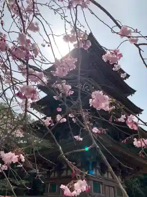 醍醐寺(京都府)