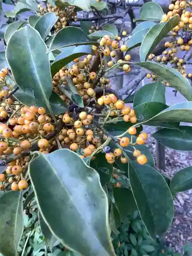 天道宮神明社（前原）の自然