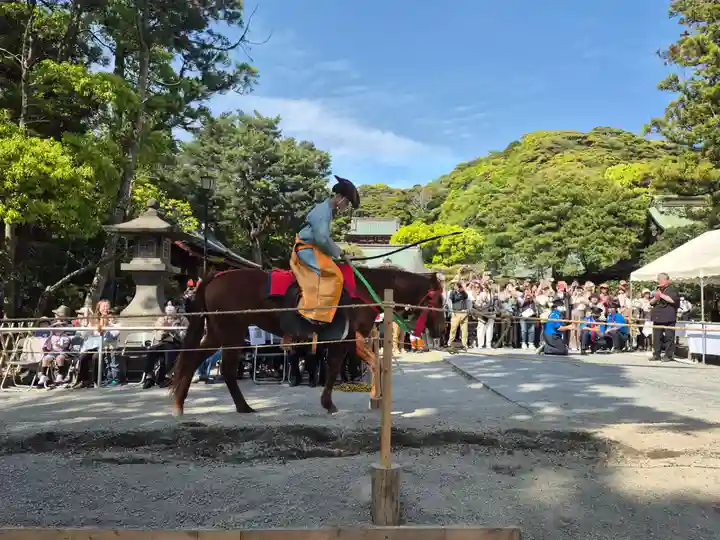 鶴岡八幡宮(神奈川県)