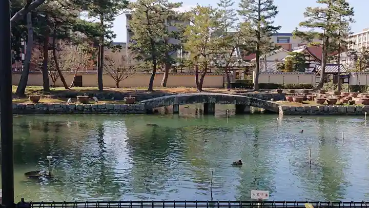 相国寺(相国承天禅寺)の庭園