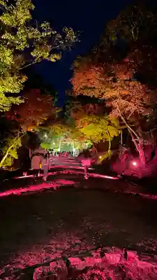 日吉大社(滋賀県)