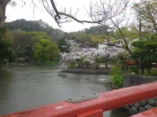 鶴岡八幡宮の庭園