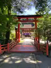 丹生都比売神社の鳥居