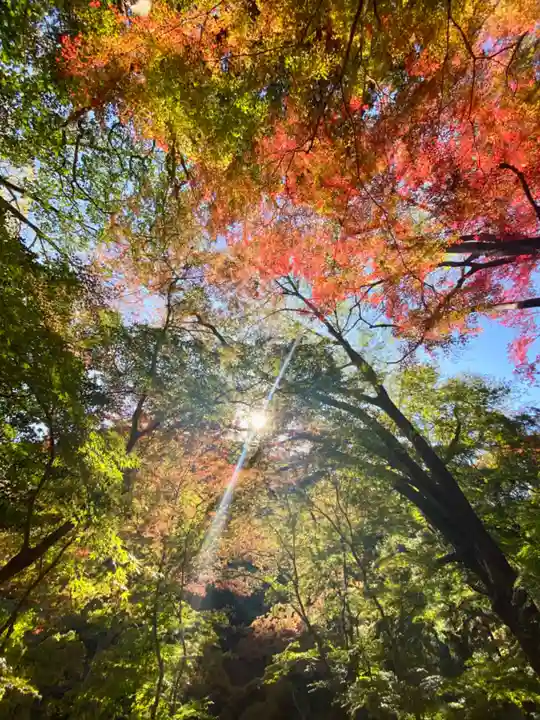 神應寺(京都府)