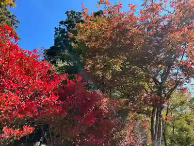 鏡石鹿嶋神社 ＊安産・開運・勝利の神さま＊(福島県)