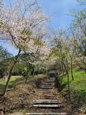 八幡神社の自然