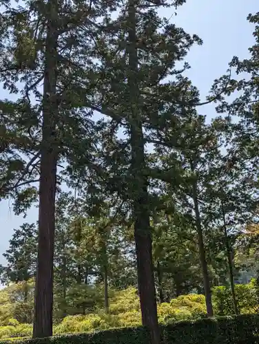 圓通寺(京都府)