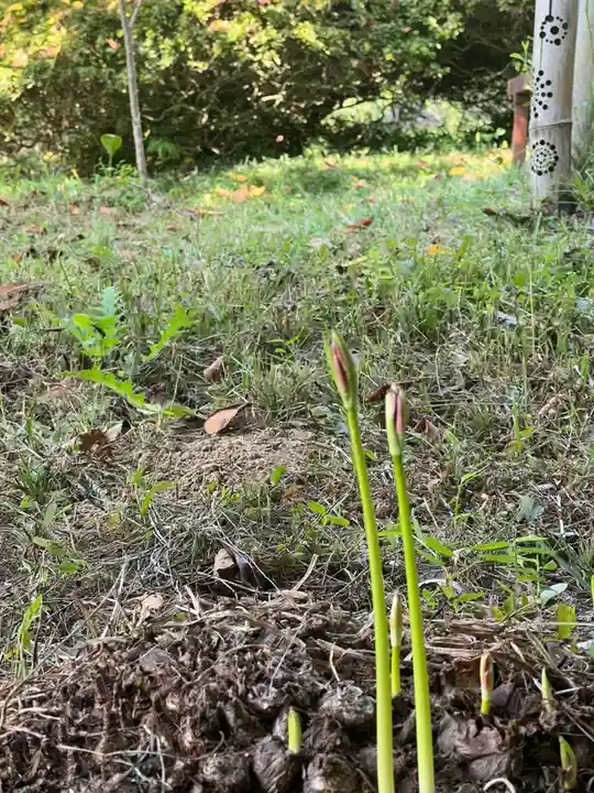 国宝 大法寺(長野県)