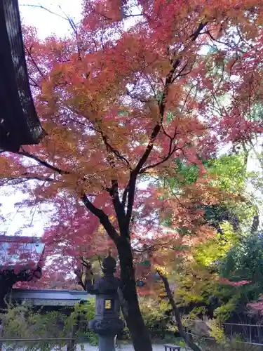 梨木神社(京都府)