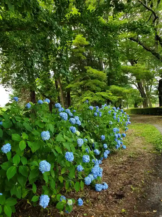 三光稲荷神社の自然