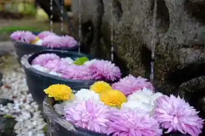 竹神社(三重県)