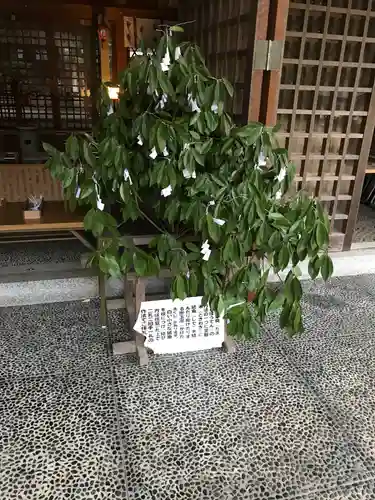 長浜神社の体験その他