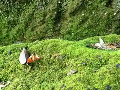 普光寺(大分県)