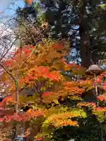 聖福寺(岩手県)