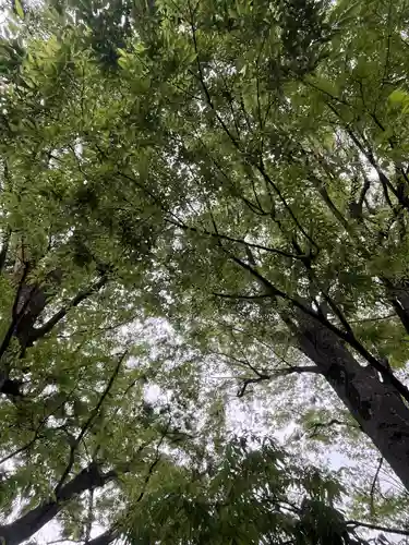 前川神社(埼玉県)