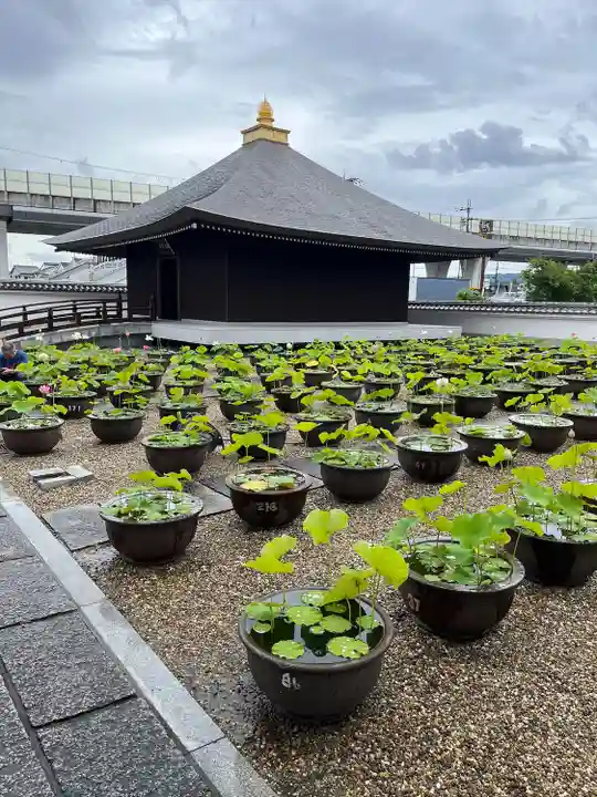 喜光寺(奈良県)