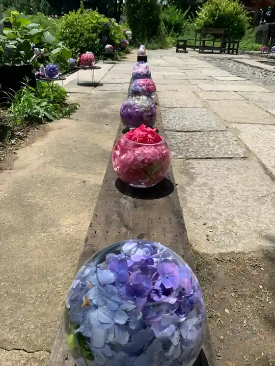 般若寺 ❁コスモス寺❁のその他建物