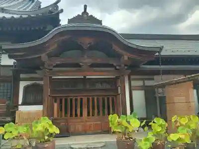 玉泉寺(東京都)